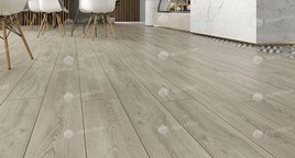 Коллекция SOLO изображение